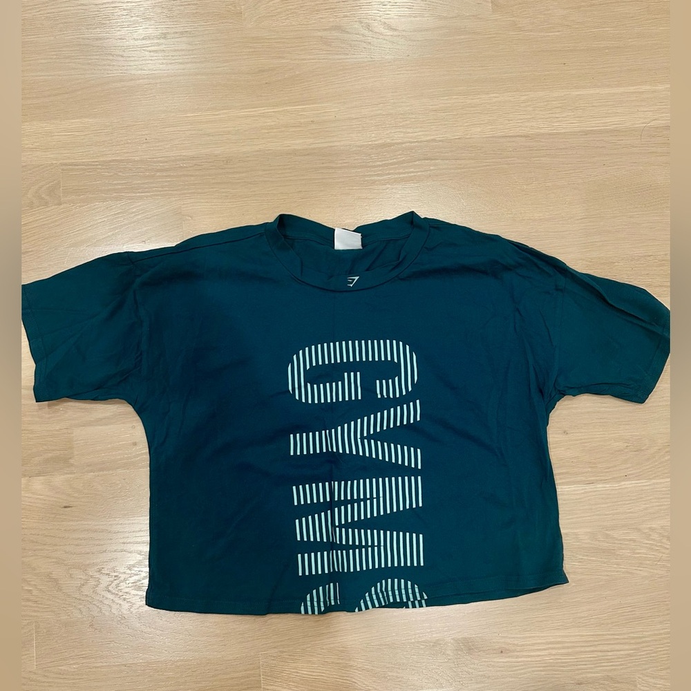 Blue/Green Gymshark Workout Tee - L